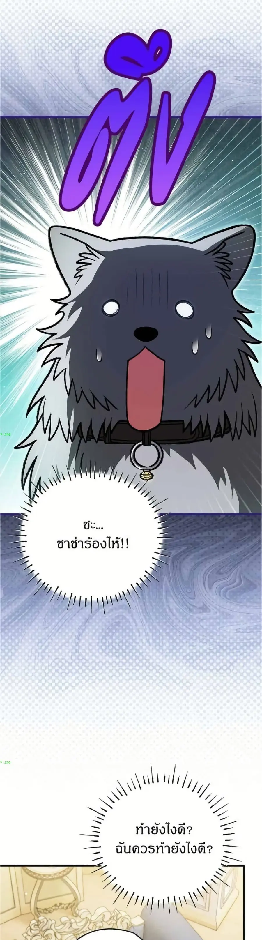 To My Dear Wolf ตอนที่ 21 หน้า 3