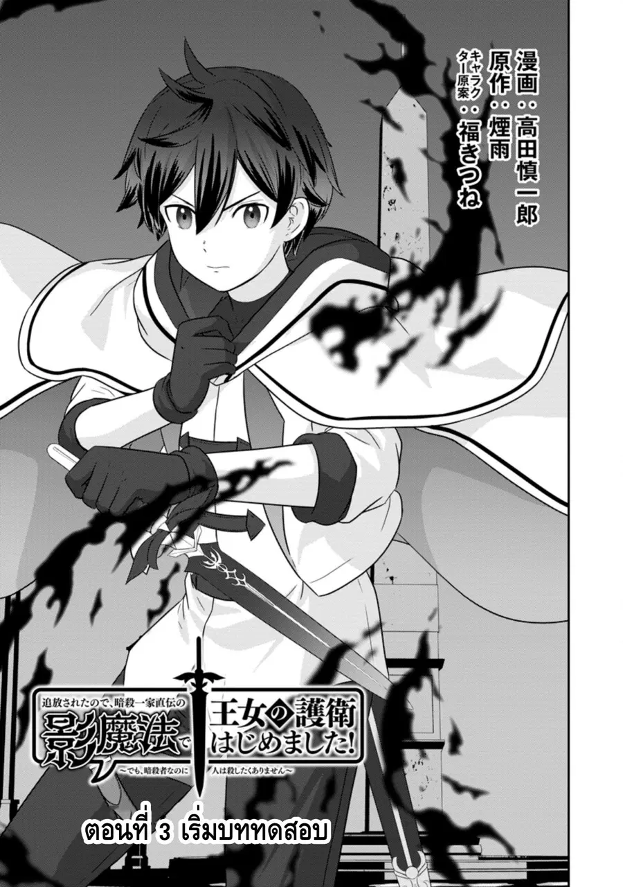 Tsuiho Saretanode, Ansatsu Ikka Jikiden No Kage Maho De Oujo No Goei H ตอนที่ 3 หน้า 1