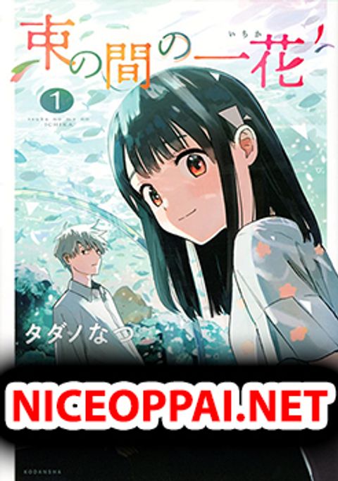 ปก Tsuka no Ma no Ichika มังงะญี่ปุ่น แปลไทย