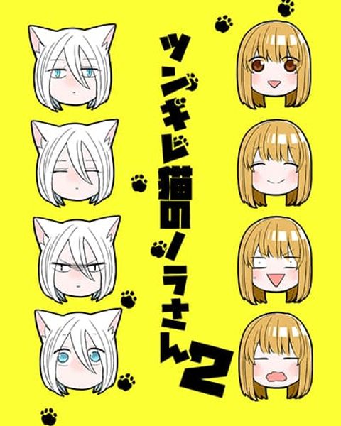 ปก Tsungire Neko no Nora-san มังงะญี่ปุ่น แปลไทย