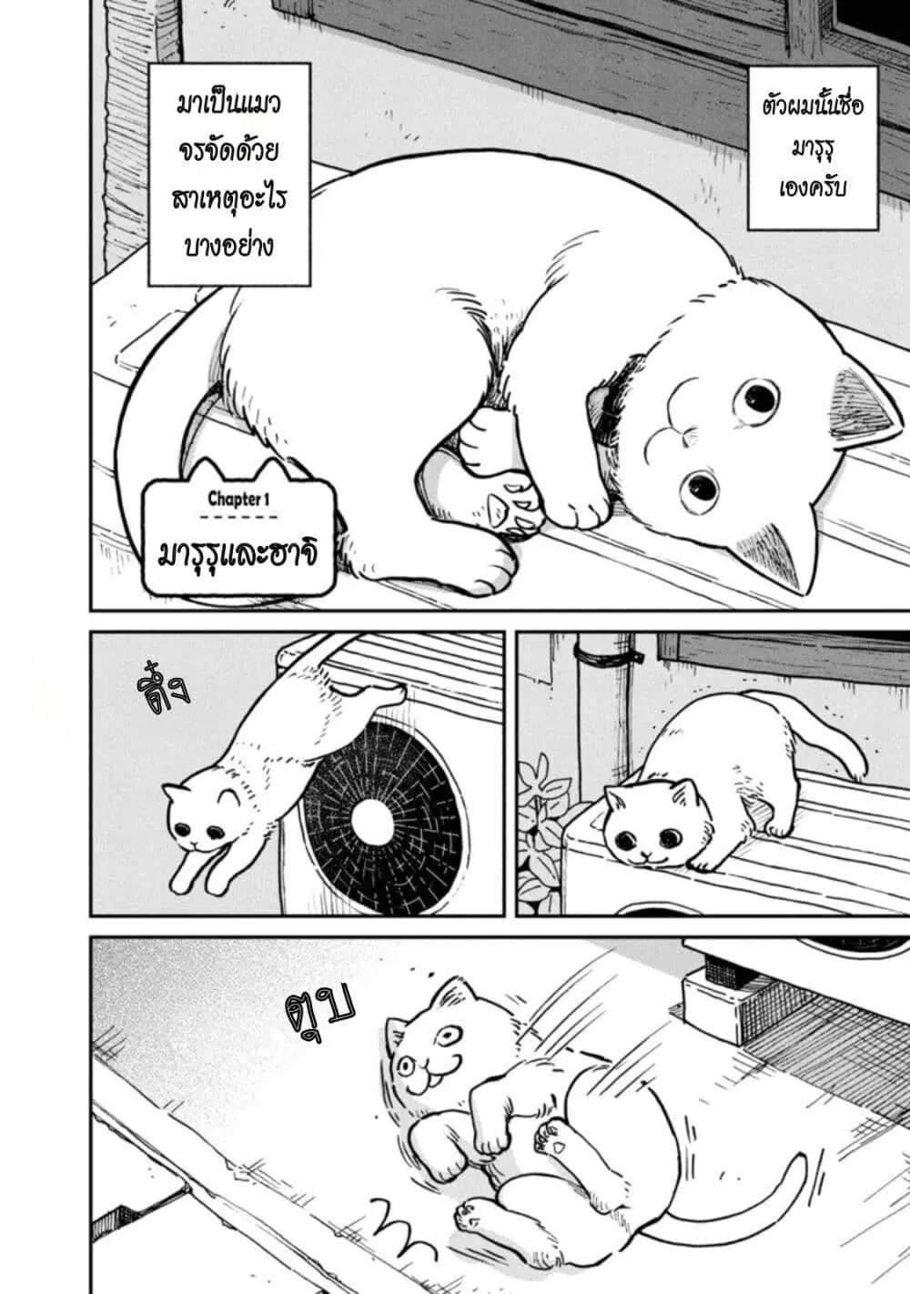 Tsureneko – Maruru to Hachi ตอนที่ 1 หน้า 3