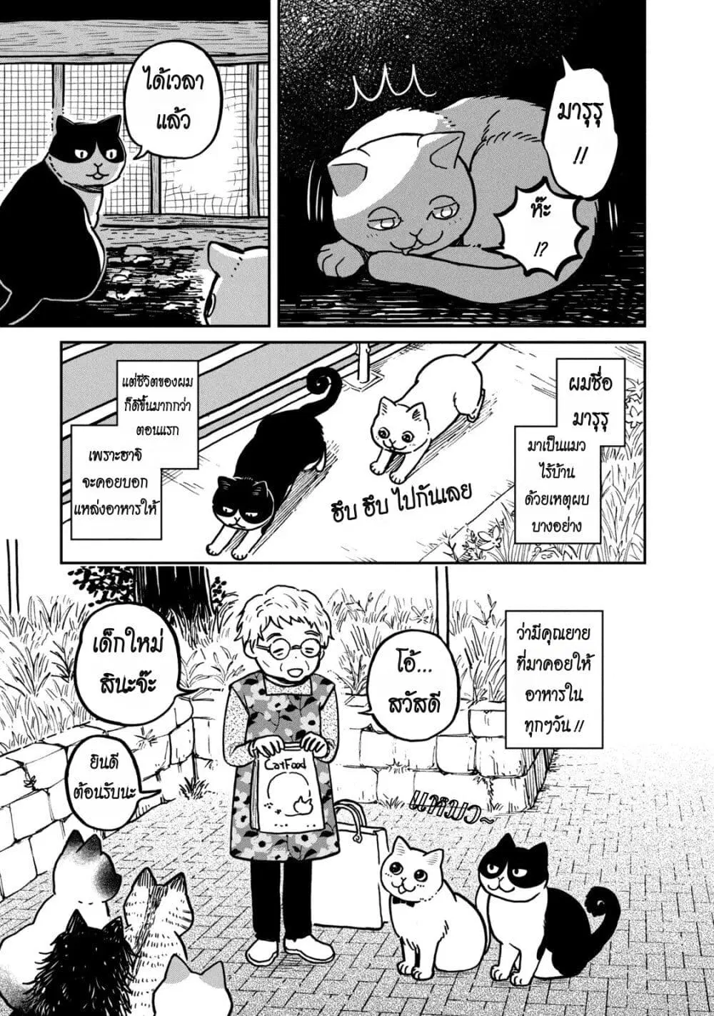 Tsureneko – Maruru to Hachi ตอนที่ 2 หน้า 3