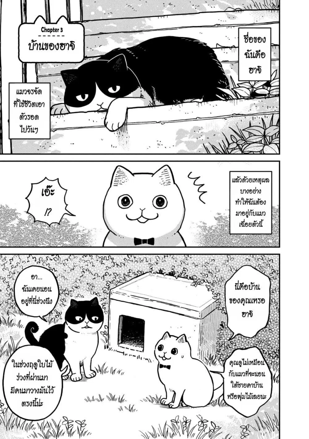 Tsureneko – Maruru to Hachi ตอนที่ 3 หน้า 1