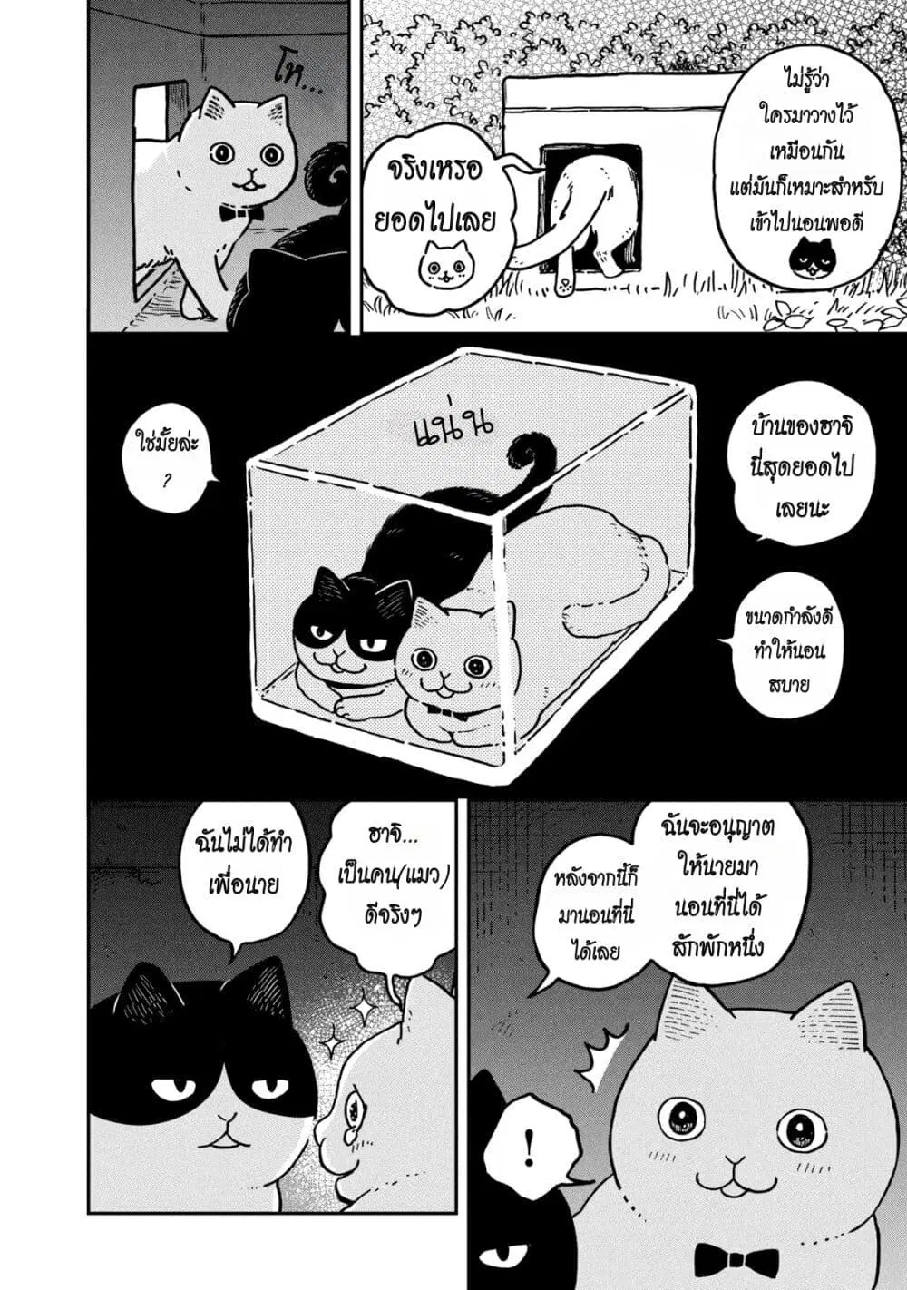 Tsureneko – Maruru to Hachi ตอนที่ 3 หน้า 2