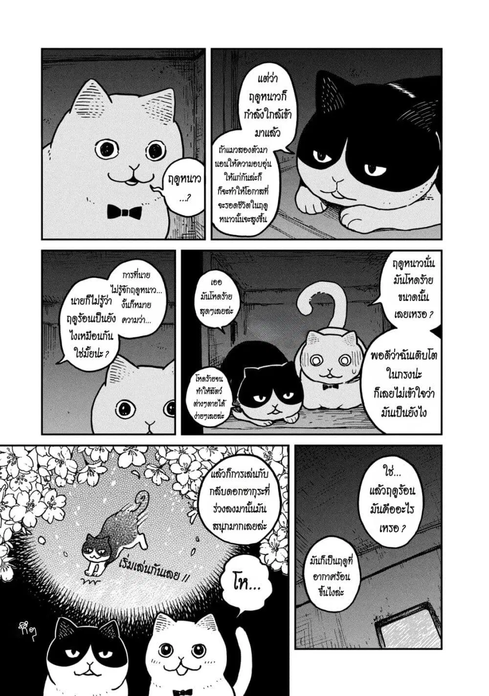 Tsureneko – Maruru to Hachi ตอนที่ 3 หน้า 3