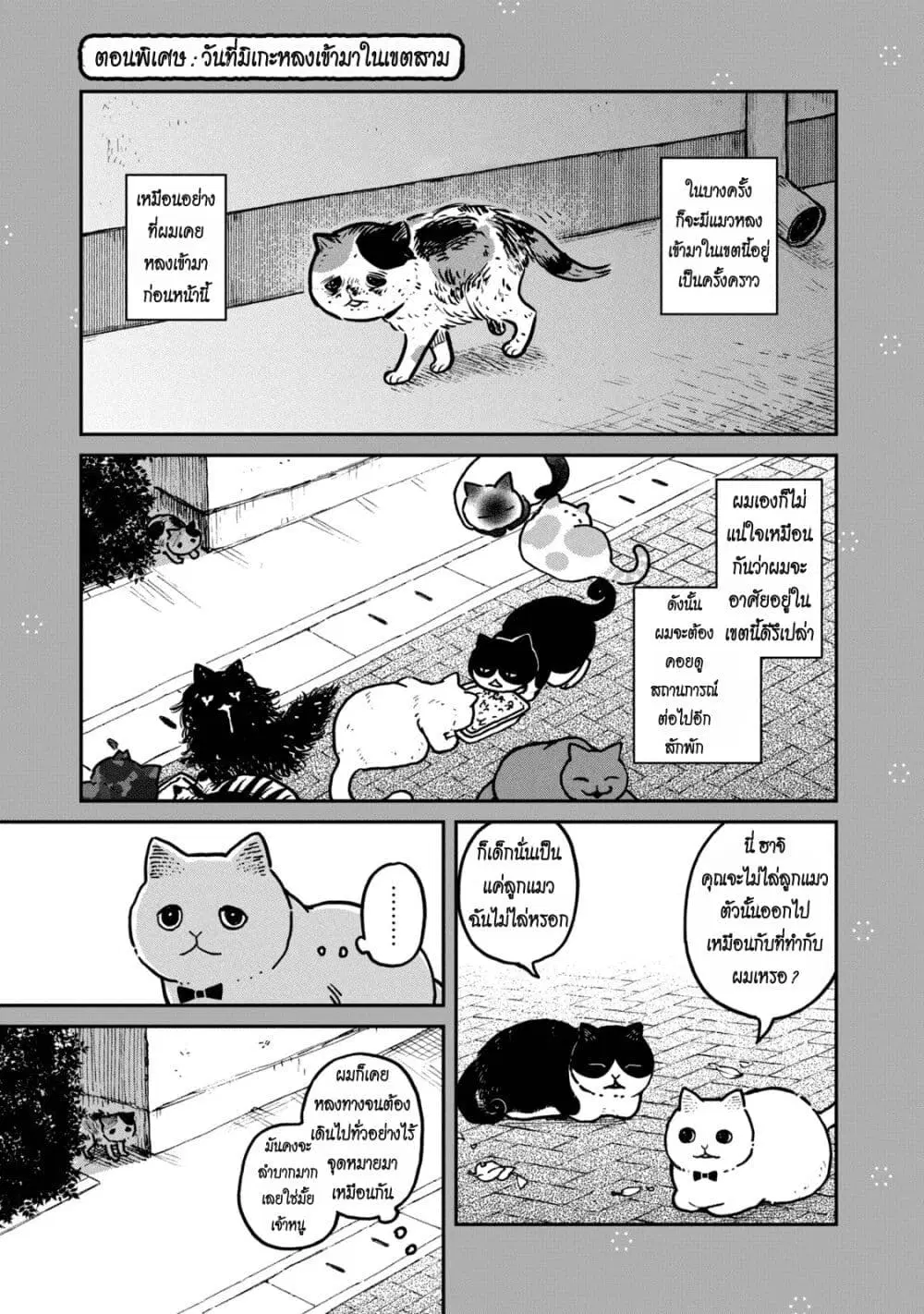 Tsureneko – Maruru to Hachi ตอนที่ 3.5 หน้า 1