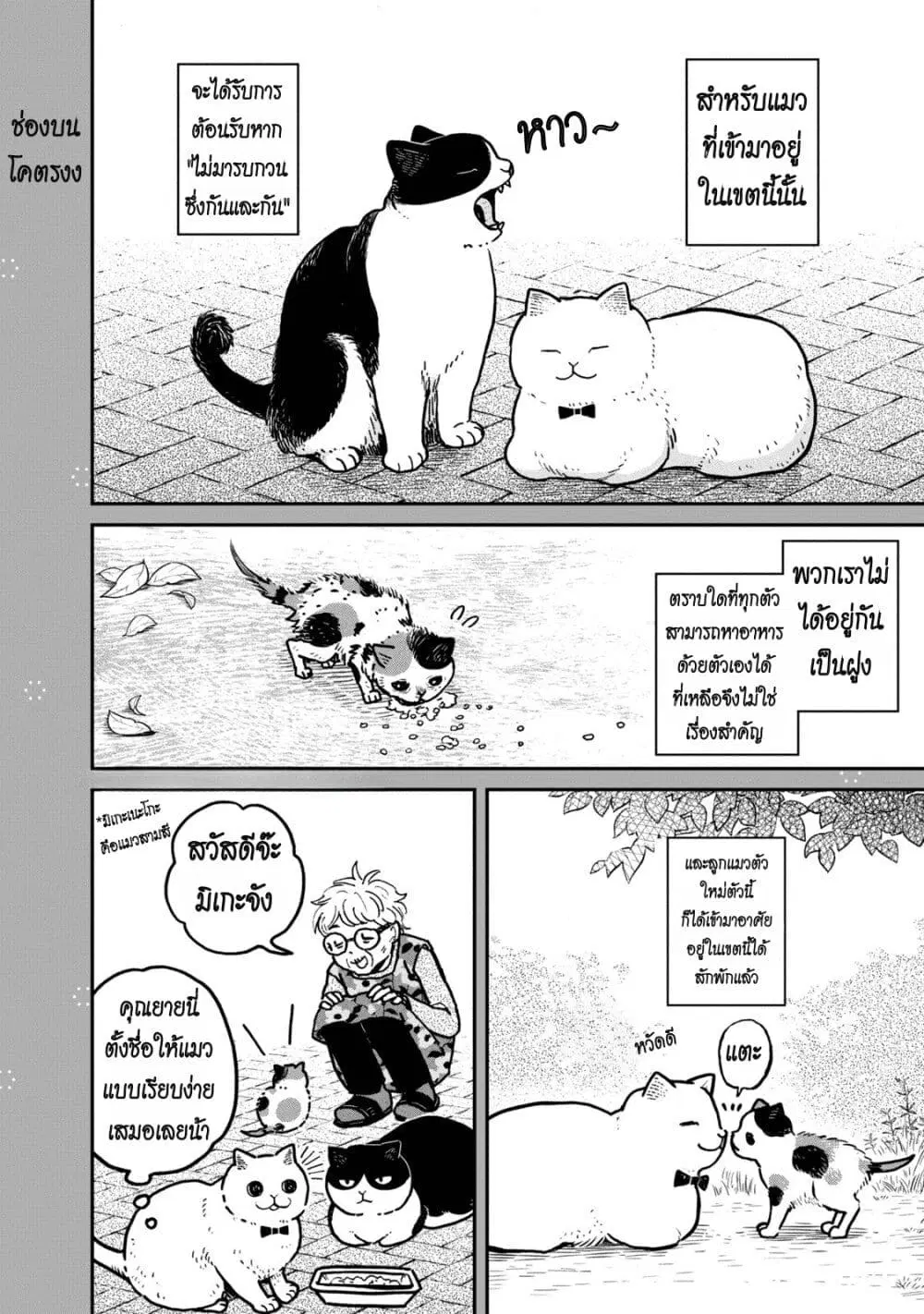 Tsureneko – Maruru to Hachi ตอนที่ 3.5 หน้า 2