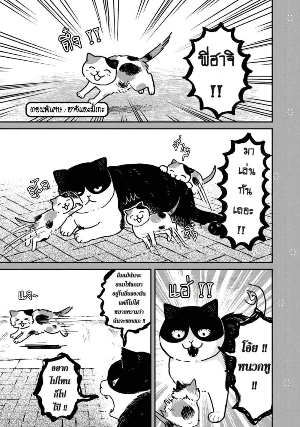 Tsureneko – Maruru to Hachi ตอนที่ 3.5 หน้า 3