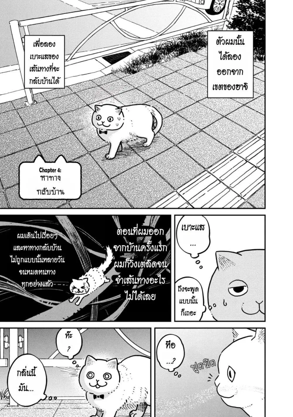 Tsureneko – Maruru to Hachi ตอนที่ 4 หน้า 1