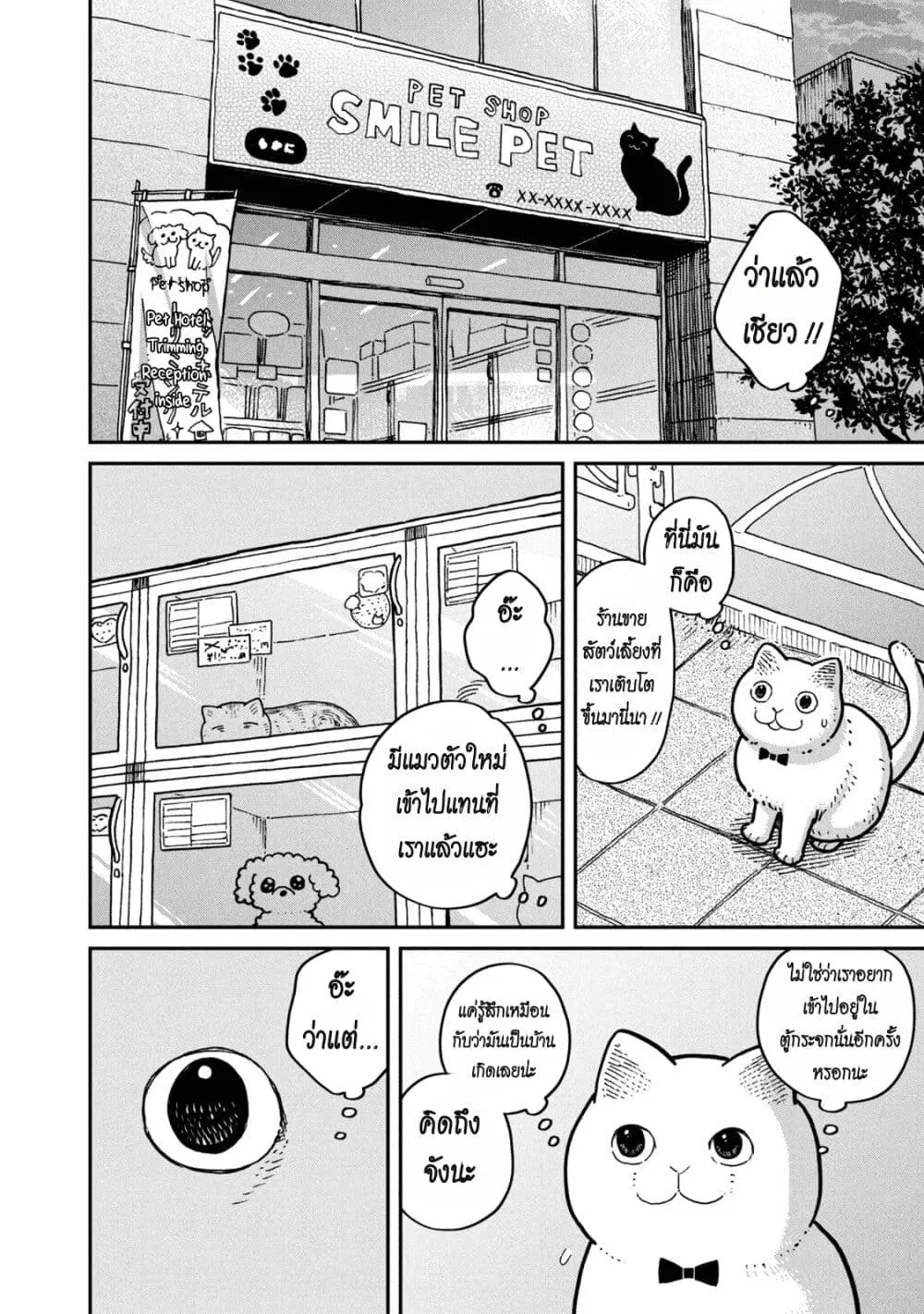 Tsureneko – Maruru to Hachi ตอนที่ 4 หน้า 2