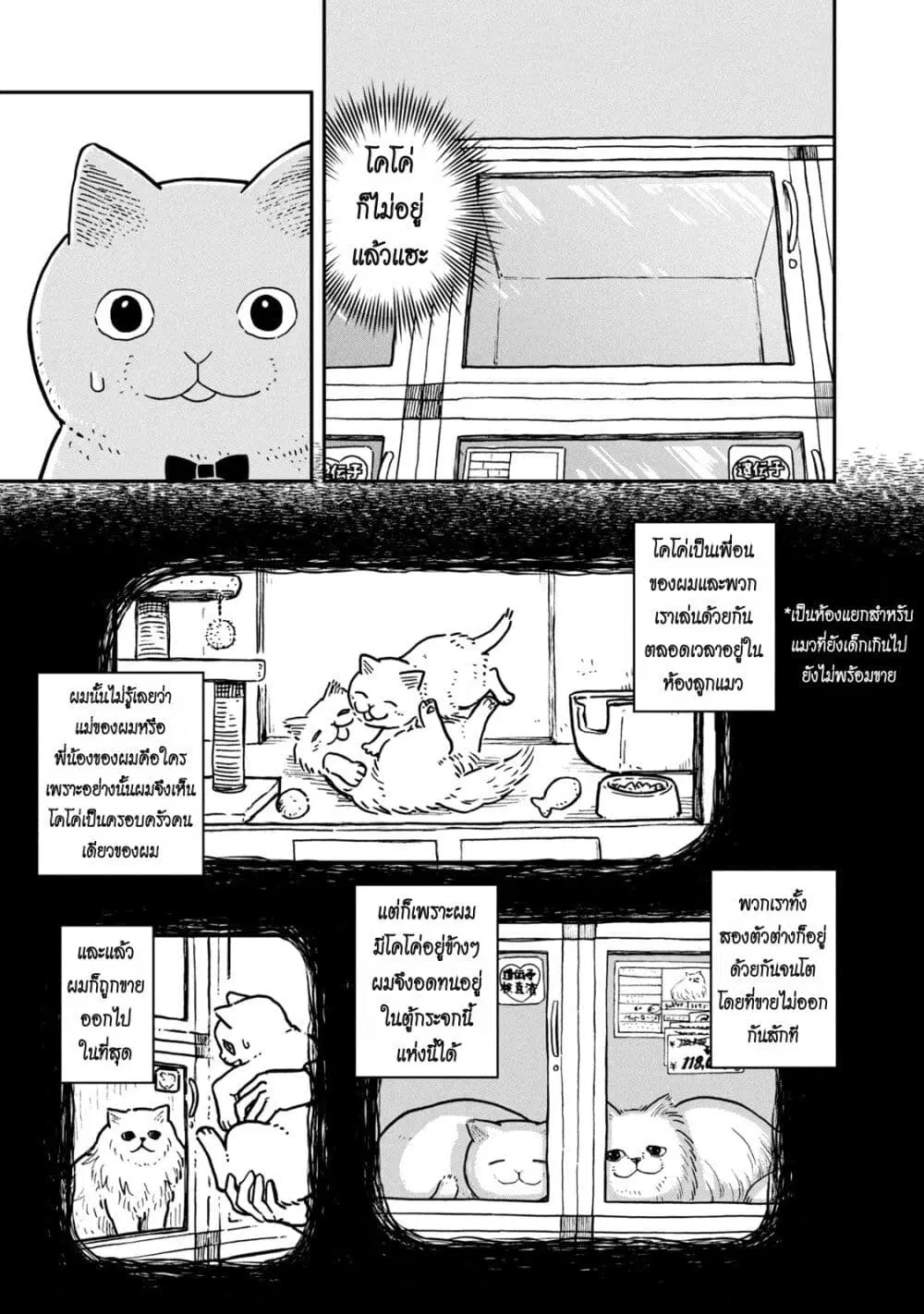 Tsureneko – Maruru to Hachi ตอนที่ 4 หน้า 3