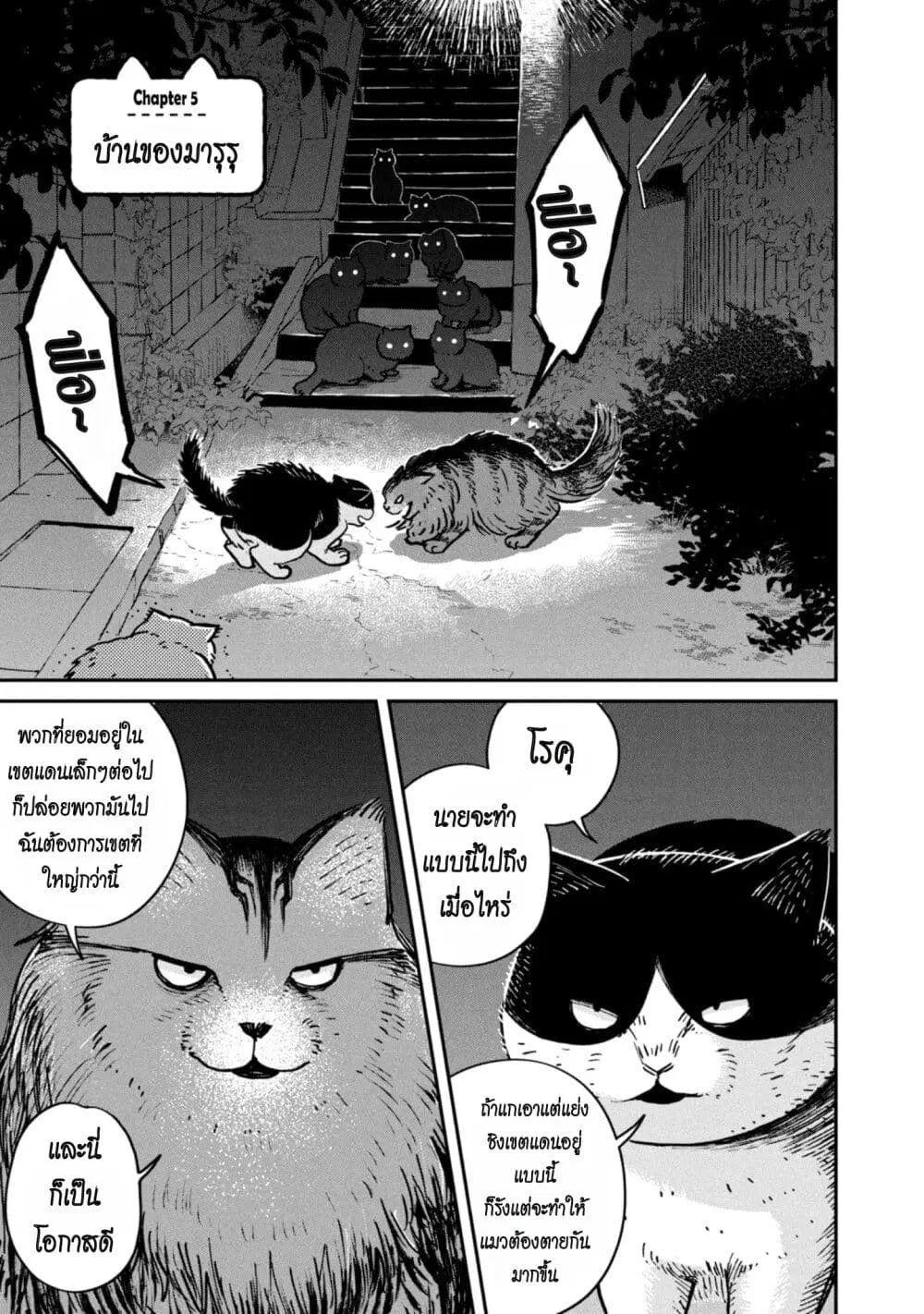 Tsureneko – Maruru to Hachi ตอนที่ 5 หน้า 1