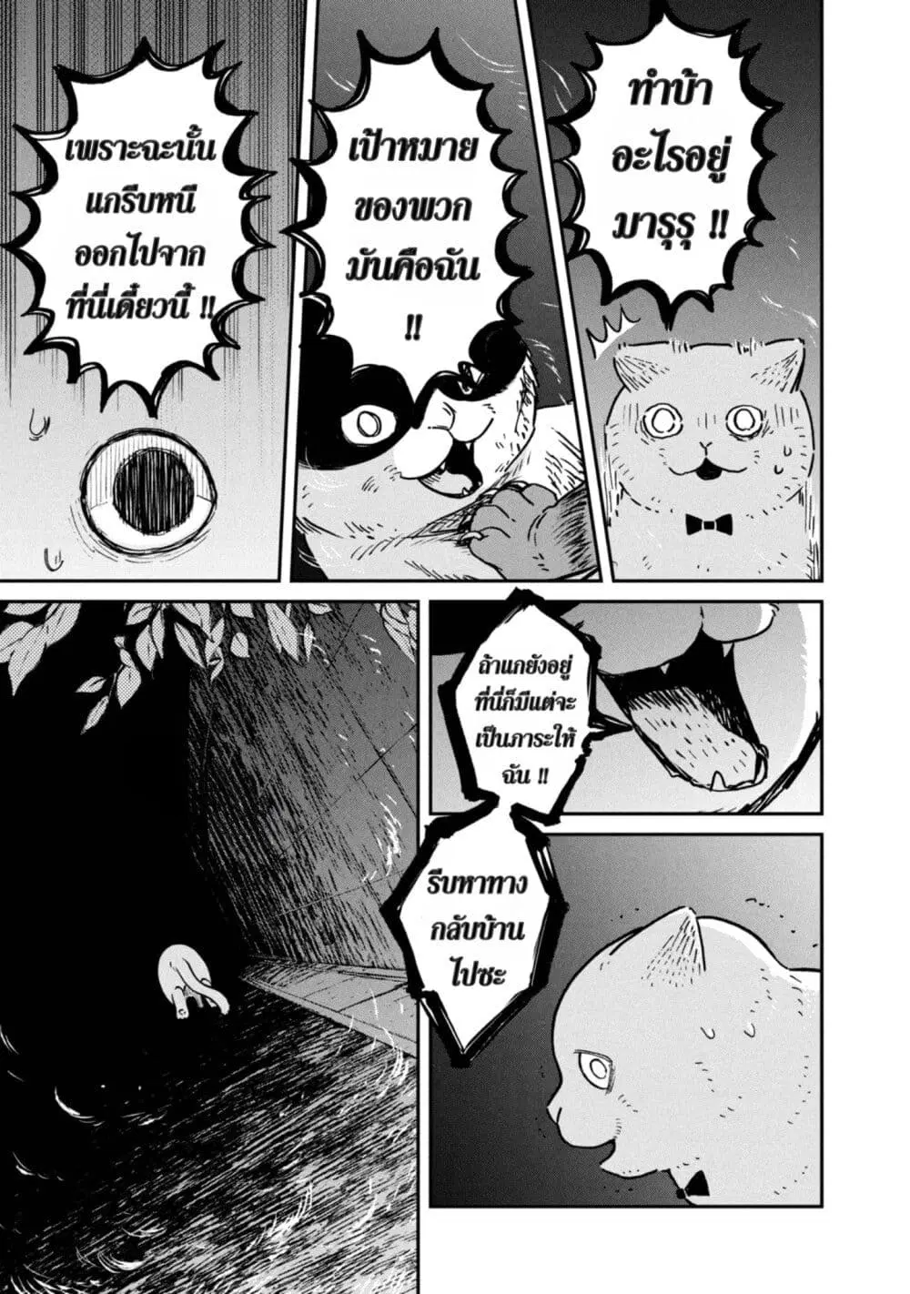 Tsureneko – Maruru to Hachi ตอนที่ 5 หน้า 3