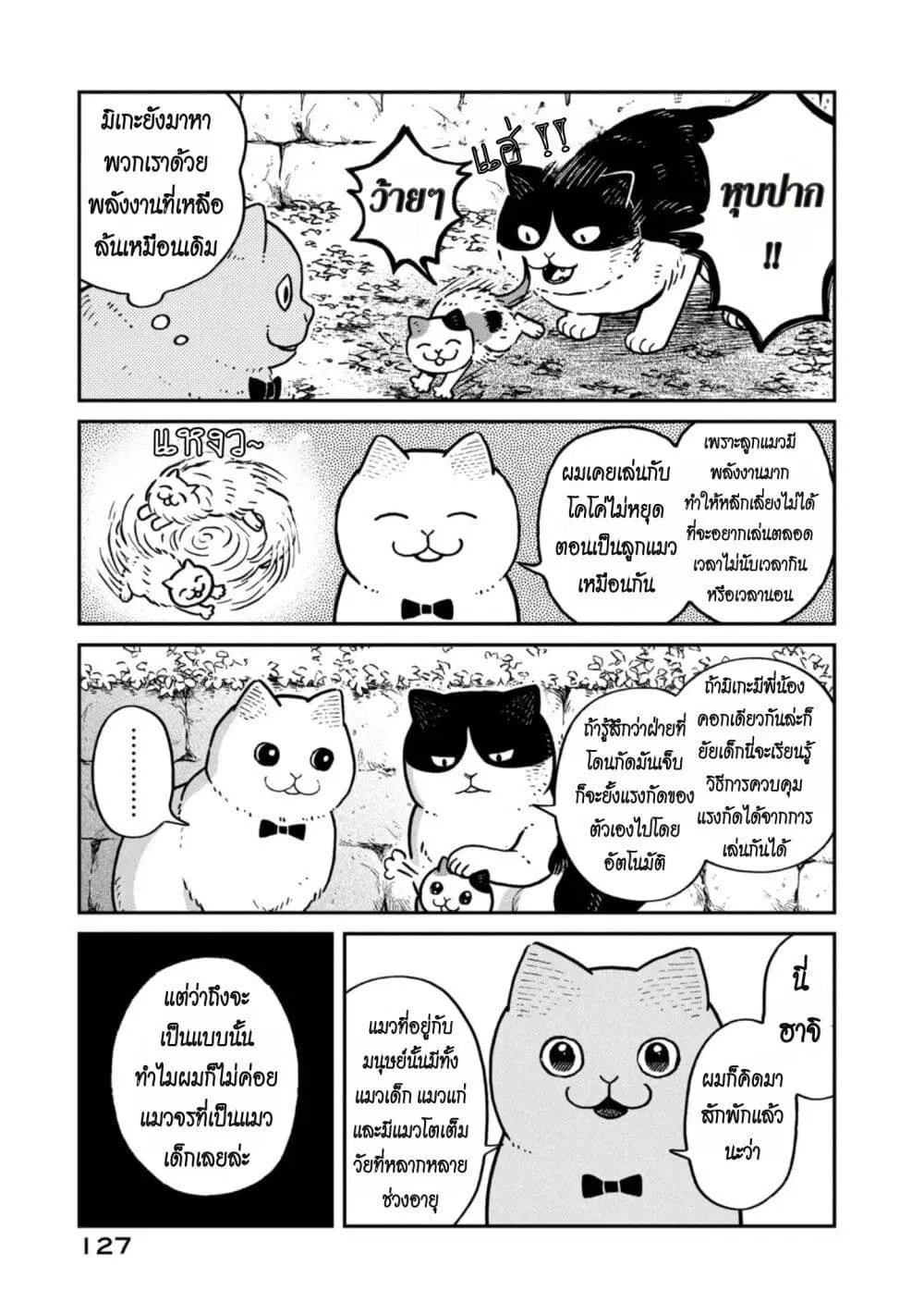 Tsureneko – Maruru to Hachi ตอนที่ 6 หน้า 3