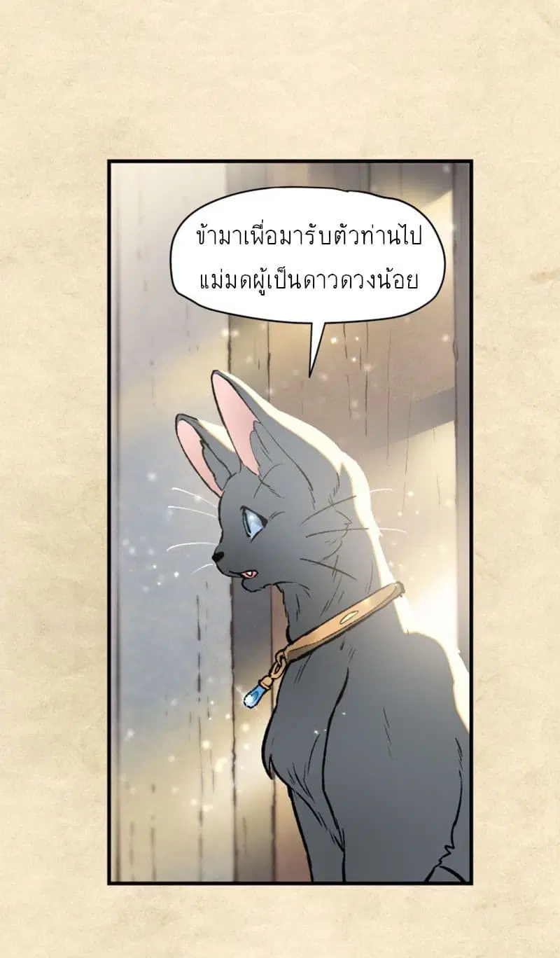 Wait Where the Shooting Star Has Fallen ตอนที่ 6 หน้า 1