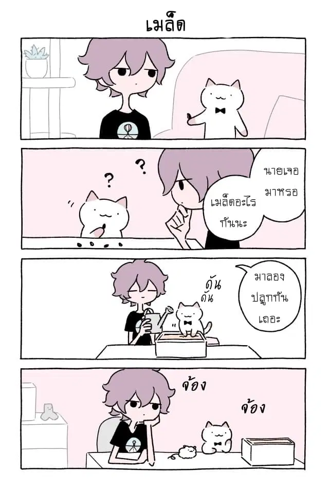 Wonder Cat Kyuu-chan ตอนที่ 15 หน้า 3