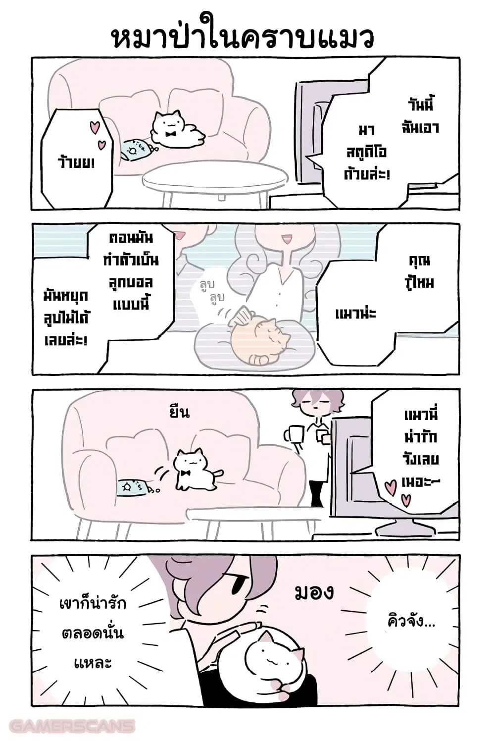 Wonder Cat Kyuu-chan ตอนที่ 43 หน้า 2