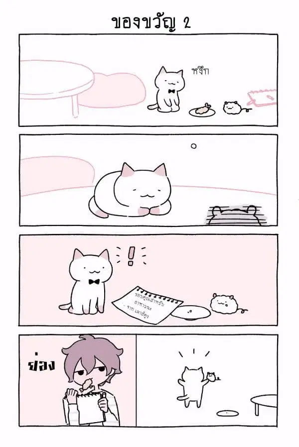 Wonder Cat Kyuu-chan ตอนที่ 5 หน้า 3