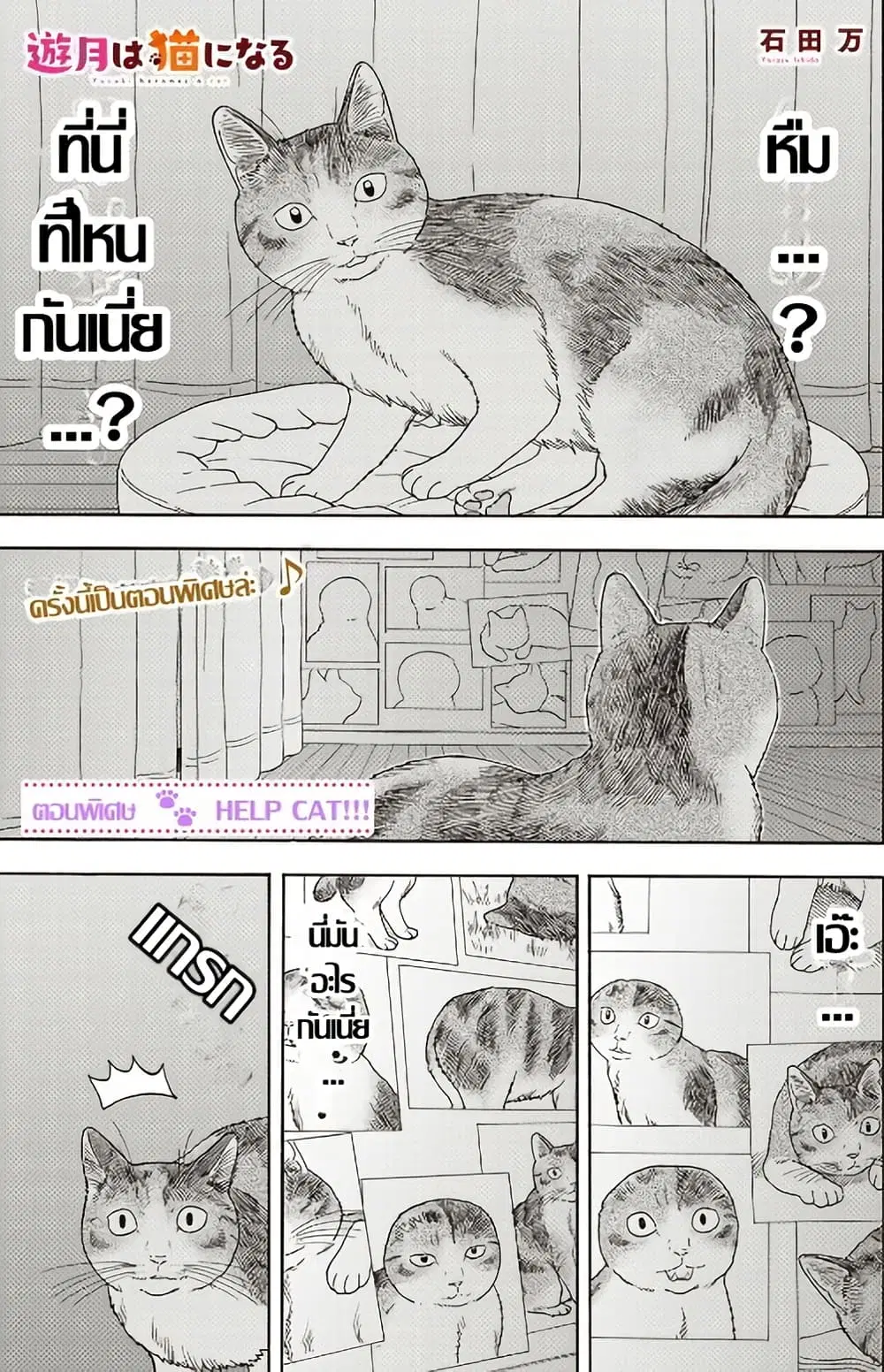 Yuzuki Becomes A Cat ตอนที่ 6.5 หน้า 1
