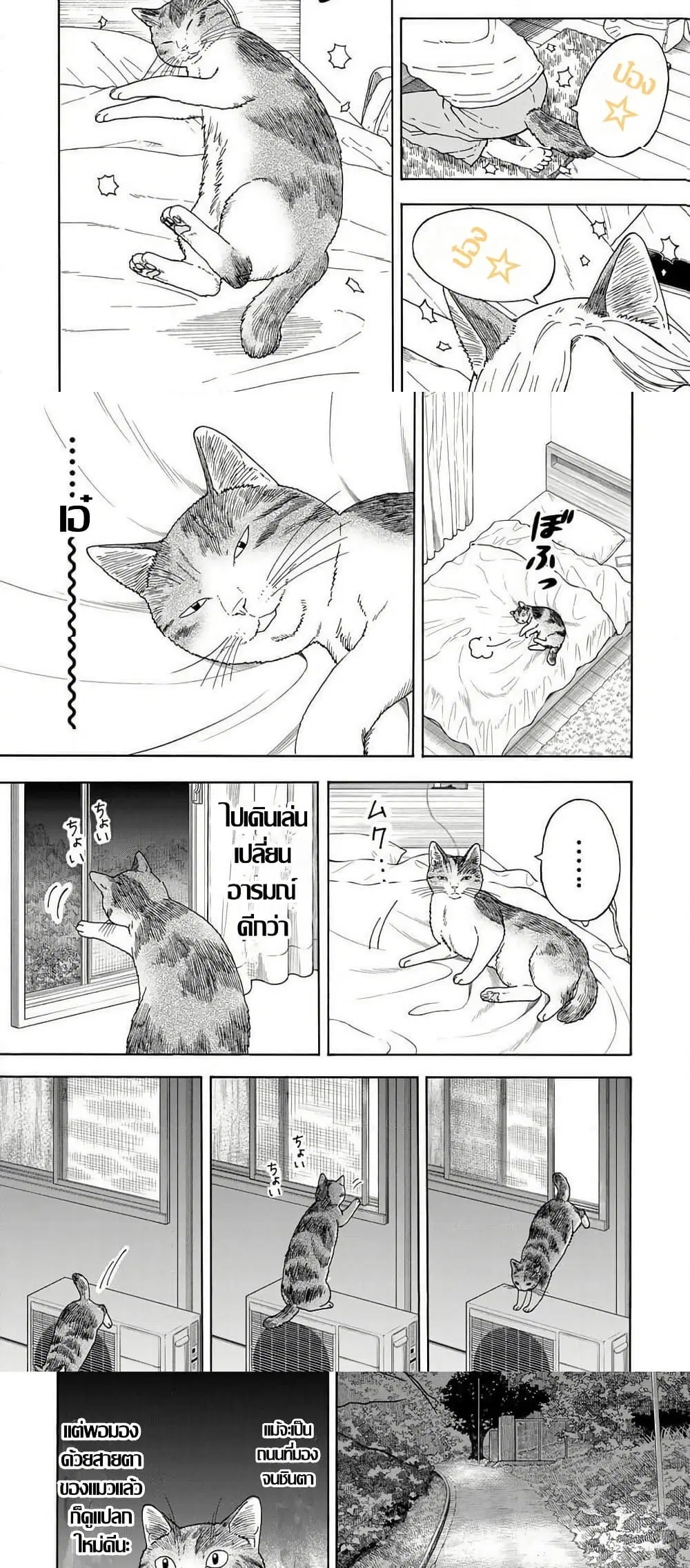 Yuzuki Becomes A Cat ตอนที่ 8.1 หน้า 2