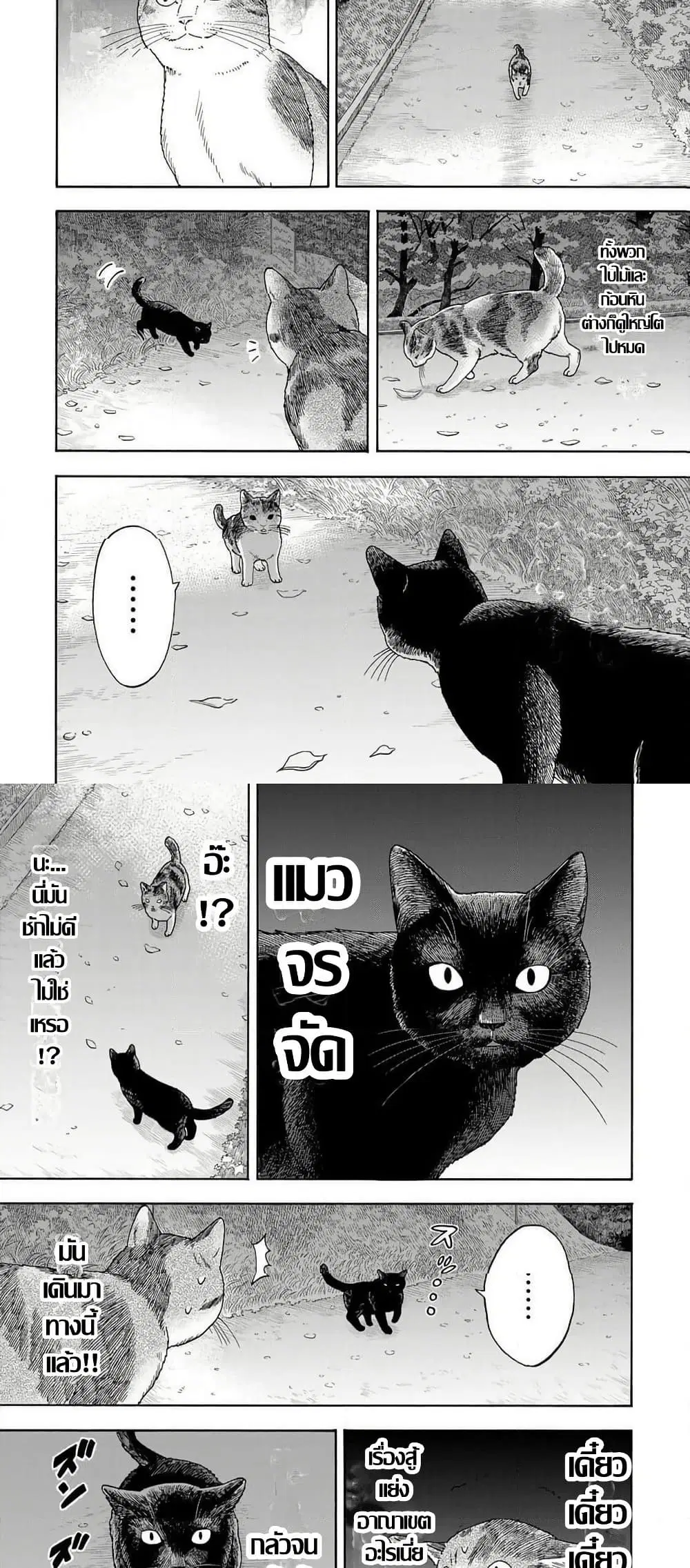 Yuzuki Becomes A Cat ตอนที่ 8.1 หน้า 3