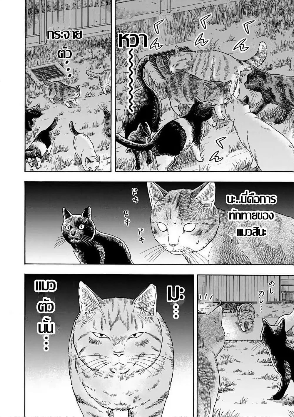 Yuzuki Becomes A Cat ตอนที่ 8.2 หน้า 2