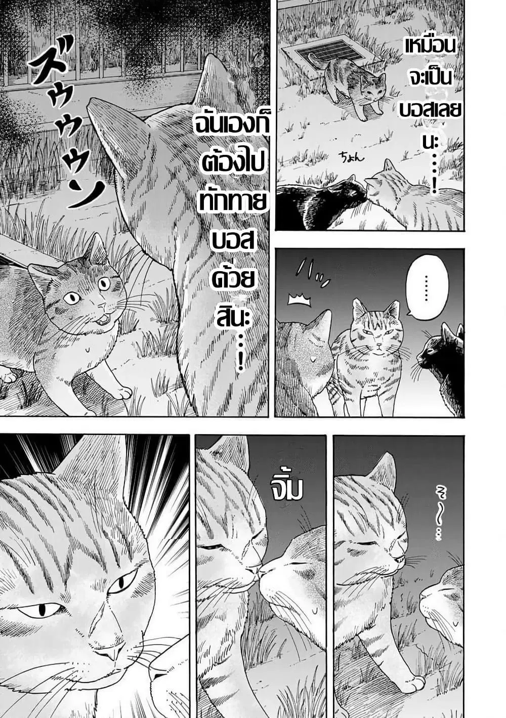 Yuzuki Becomes A Cat ตอนที่ 8.2 หน้า 3